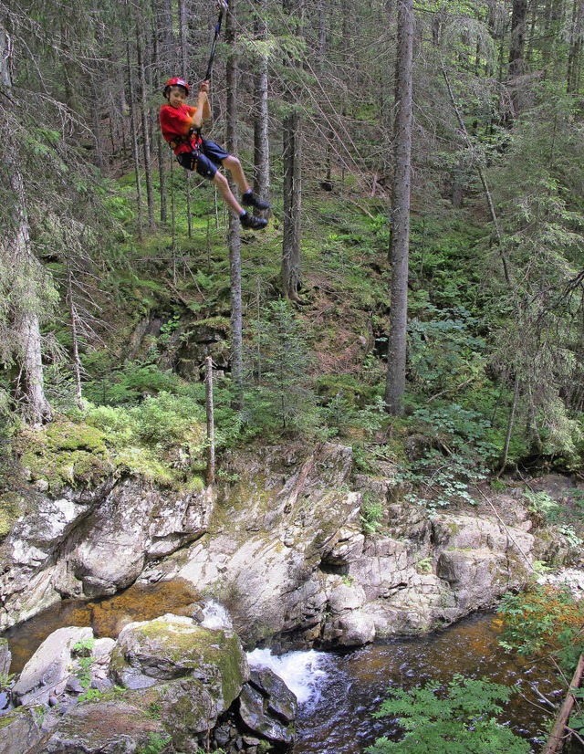 Ist Tarzan Schwarzwlder? Ein junges M...t schwingt sich ber den Gebirgsbach.   | Foto: Bergwacht Schwarzwald