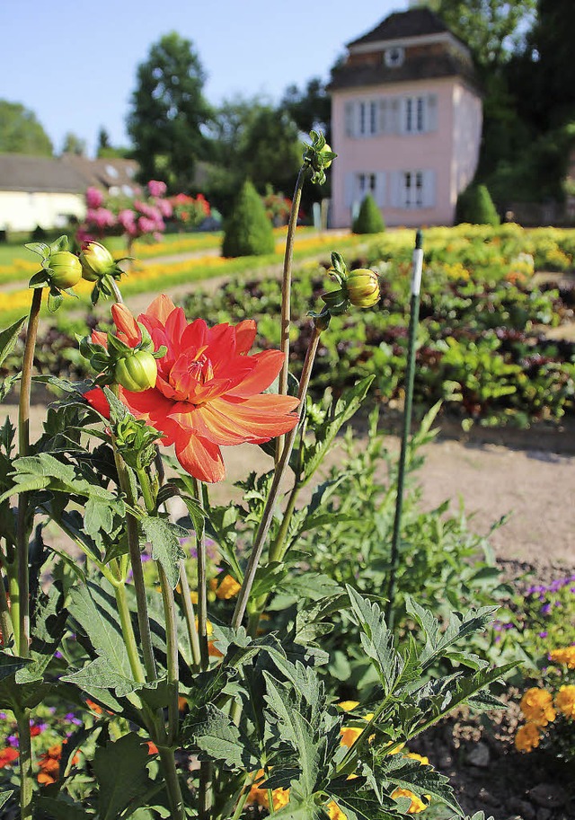 Der Prinzengarten bietet wieder den Ra... das Sommerfest am kommenden Samstag.   | Foto: Erika Sieberts