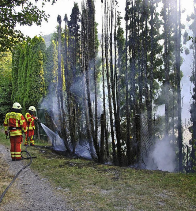 Der Brand war schnell unter Kontrolle,...er Hecke blieb nicht mehr viel brig.   | Foto: Ralph fautz