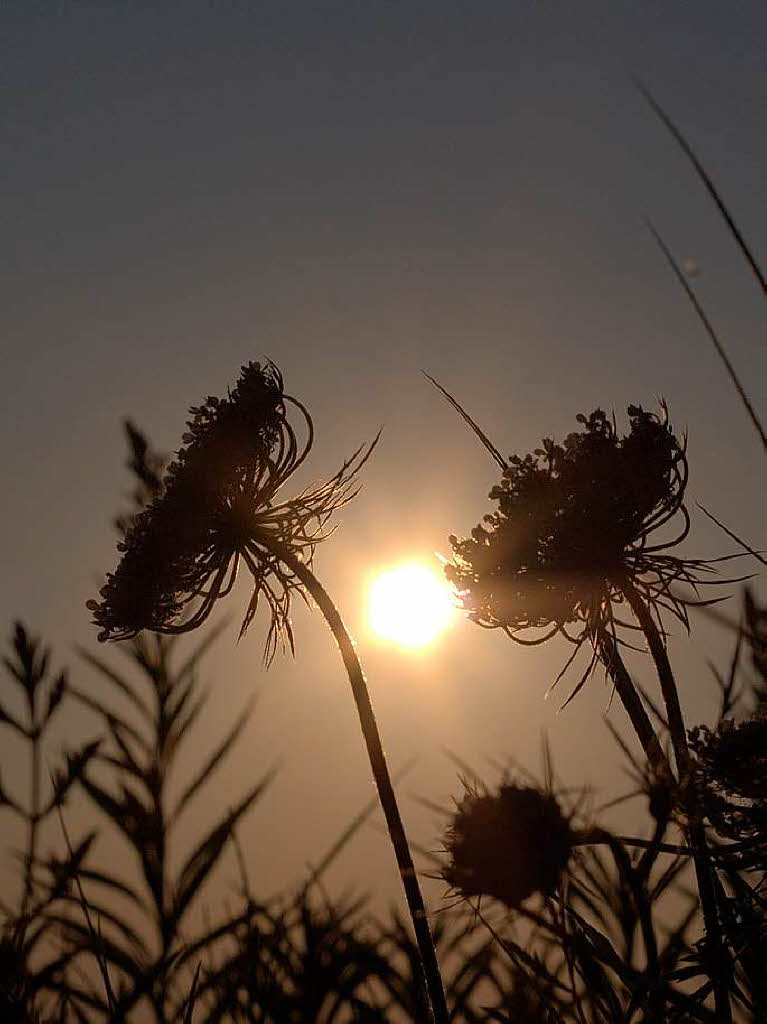 Dirk Liebert: Abendstimmung