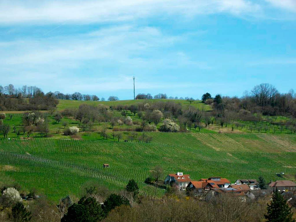 Beate Heizmann: Tllinger Berg