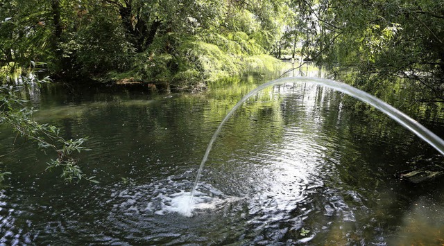 Der Ententeich im Kleinfeldpark ist zw...ich aber in einem schlechten Zustand.   | Foto: Christoph Breithaupt