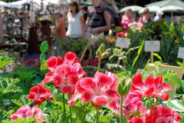 Fotos: Diga in Schloss Beuggen bei Rheinfelden