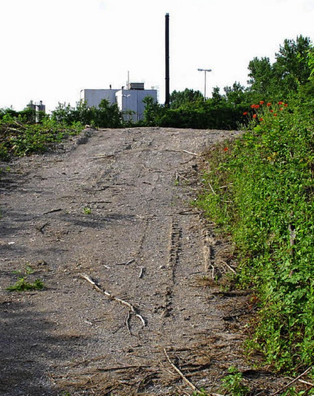 Welcher Weg ist der richtige zur Sanei... Hintergrund) will eine Einkapselung.   | Foto: Ralf Staub