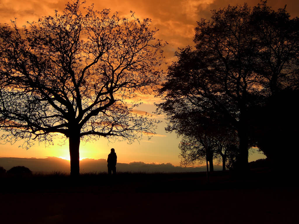 Daniel Braxton:  "So lonely". ein Spaziergnger in der Abendsonne des Tllinger Bergs, ganz in der Nhe des dortigen Parkplatzes.