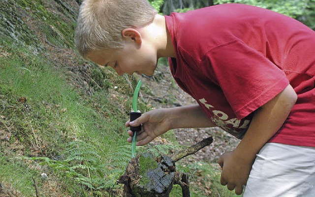   | Foto: Haus der Natur