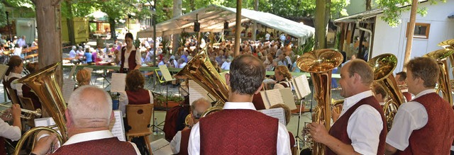 Die Blasmusiker aus der Bodenseegemeinde Obereisenbach beim Frhschoppenkonzert.  | Foto: Roland Vitt