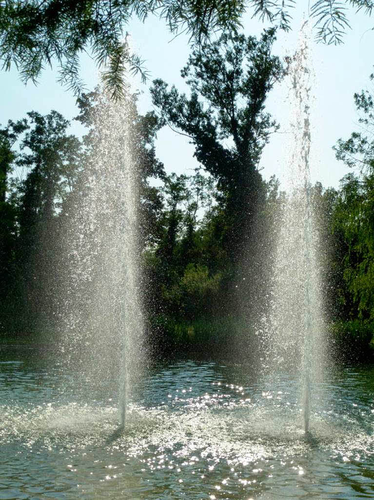 Michael Pantze: Sommer im Kurpark von Bad Bellingen