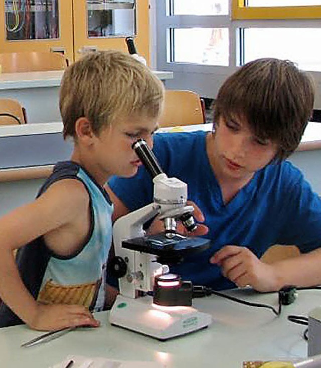 Junge Forscher warfen gerne einen Blick durchs Mikroskop.  | Foto: Ilona Seifermann