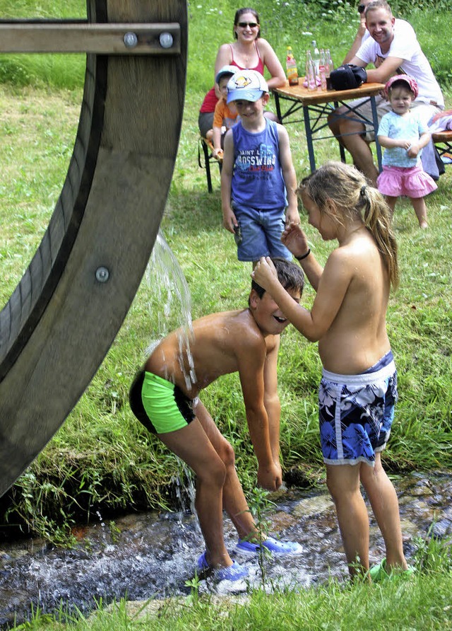 Ganz schon praktisch, dieses Wasserrad<ppp></ppp>  | Foto: heiner fabry