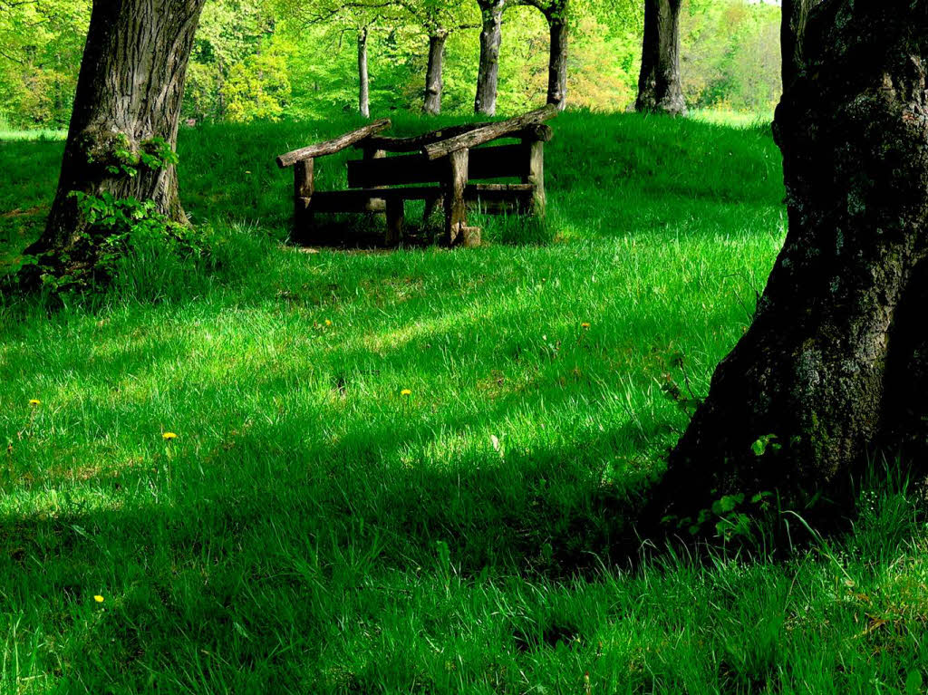 Helga Noor: "Lindenplatz - Tllinger"an heien Sommertagen ein herrlich schattiger Ort