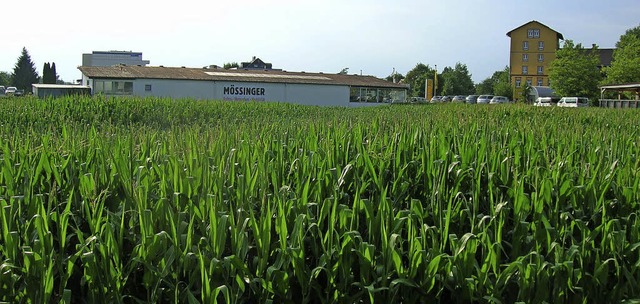 Der Rewe-Markt zieht von der Westseite...Mundingen (rechts die Mundinger Mhle)  | Foto: Sylvia-Karina Jahn