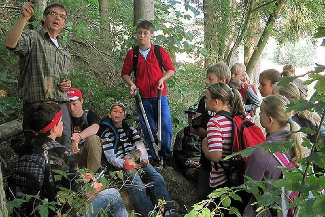 Schler leisten Beitrag zum Waldumbau