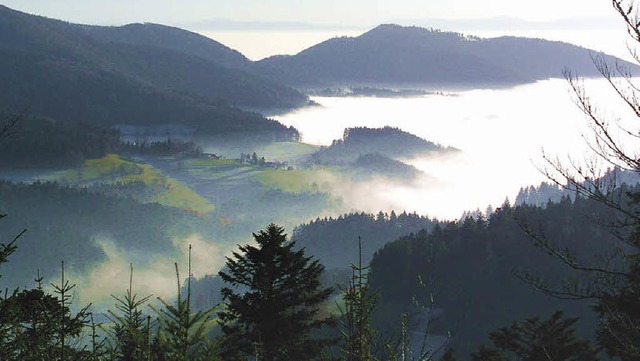 Die Faszination des Oberen Kandertals ...Foto von Rolf Frei deutlich sichtbar.   | Foto: Frei