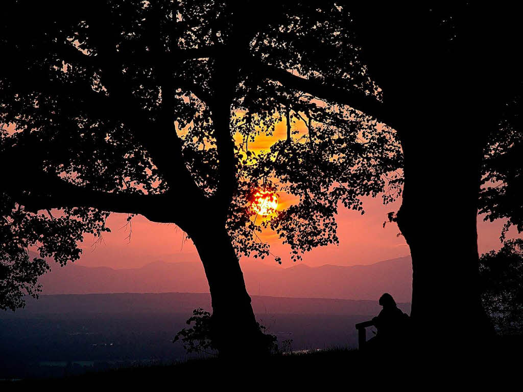 Jrg Reinert: eine Sonnenuntergang-Stimmung am Tllinger Lindenplatz