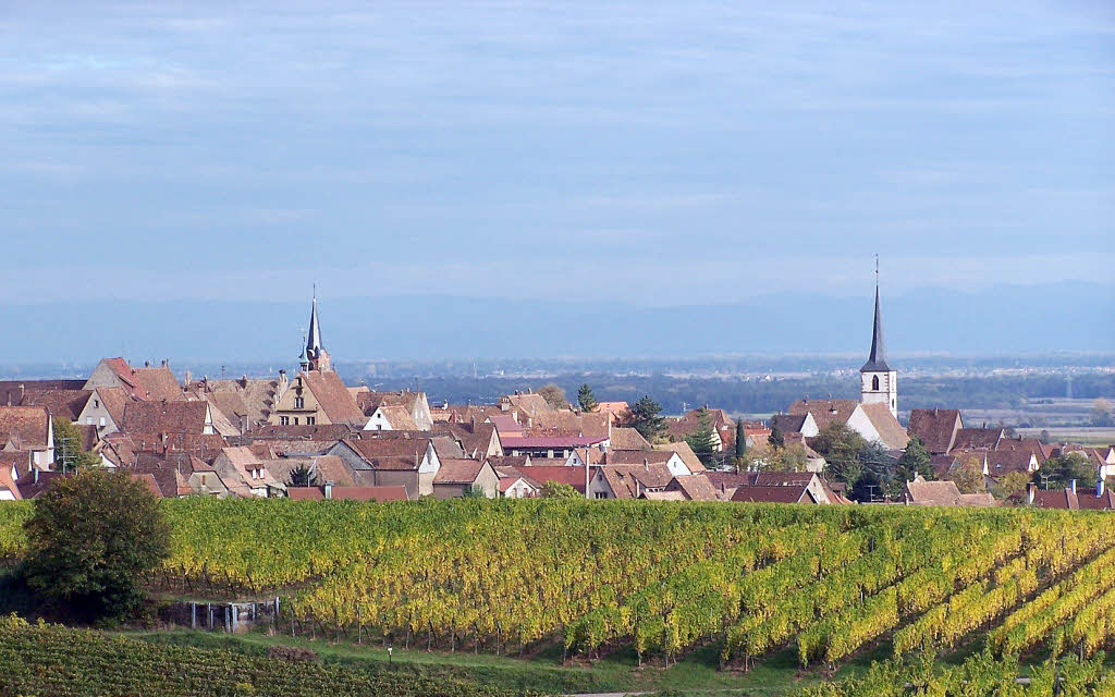 Weinfest in Mittelbergheim Freizeittipps Badische Zeitung