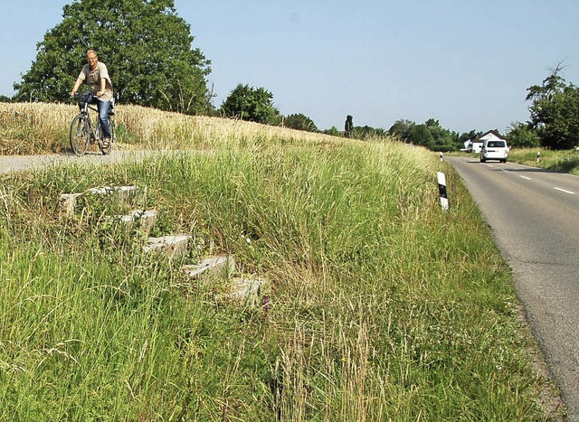 Sicherheitslcke: Treppe zum Reiterhof   | Foto: Pia Grttinger