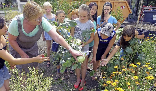 Aufmerksam und mit Begeisterung und si...n Ingrid Kramer im Schulgarten aktiv.   | Foto: Claudia Gempp