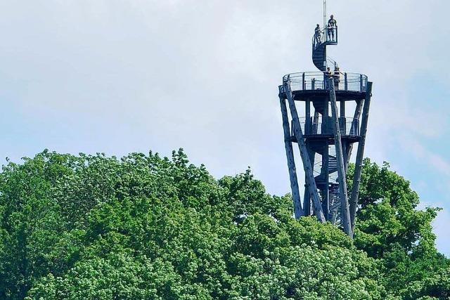 Pilzbefall – Stadt schliet den Schlossbergturm