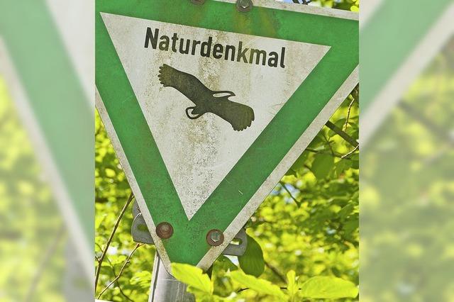 FDP für Naturdenkmale