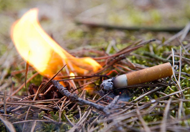 Eine weggeworfene  Kippe kann ein Feue...n Wldern herrscht  darum Rauchverbot.  | Foto: dpa