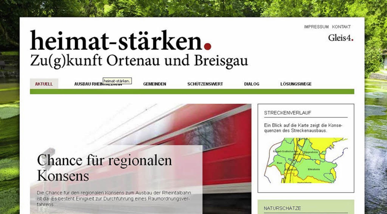Die neue Homepage der Grafenhausener Erklärung.     | Foto: Bz