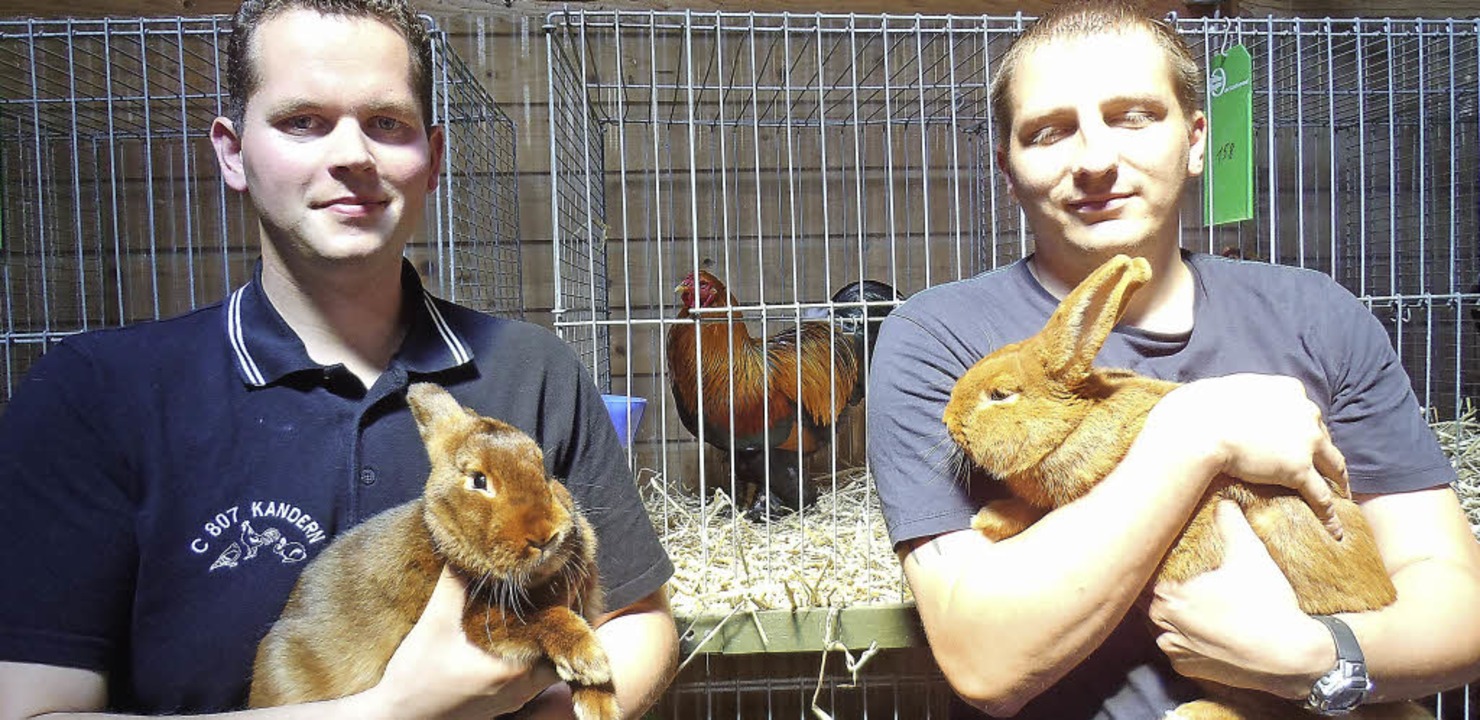 Die Sieger beim Kleintierzuchtverein K...big und Daniel Braun mit Sachsengold.   | Foto: privat