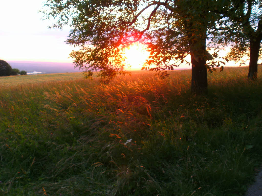 Hans-Dieter Nagel: Sonnenuntergang auf dem Tllinger Lindenplatz