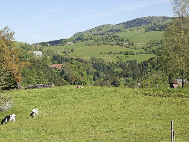 Einen schnen Anblick bietet der Kande...n, ist von Waldkirch aus eher mhsam.   | Foto: Ringwald