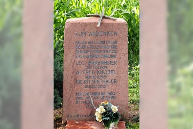 Vandalismus: Unbekannte beschdigen Gedenkstein in Hartheim
