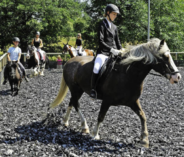 Ehrenrunde nach der E-Dressur. Im Vord...hrer Schwarzwlder-Fuchs-Stute Leoni.   | Foto: F. Lffler