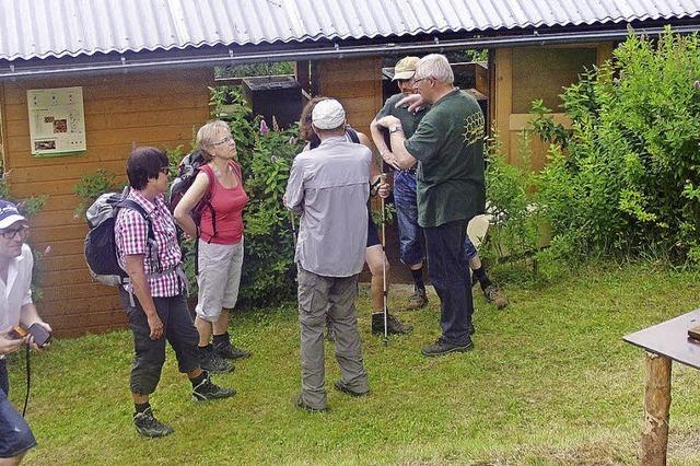 Bienenknigin besucht