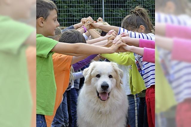 Lindenschule ist auf den Hund gekommen