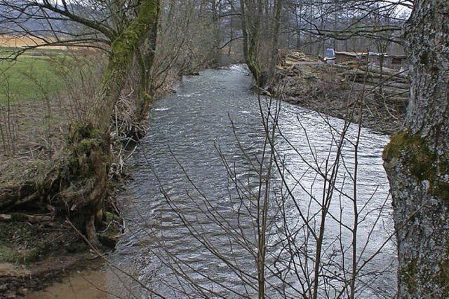 Zurck zur Natur-Wiese