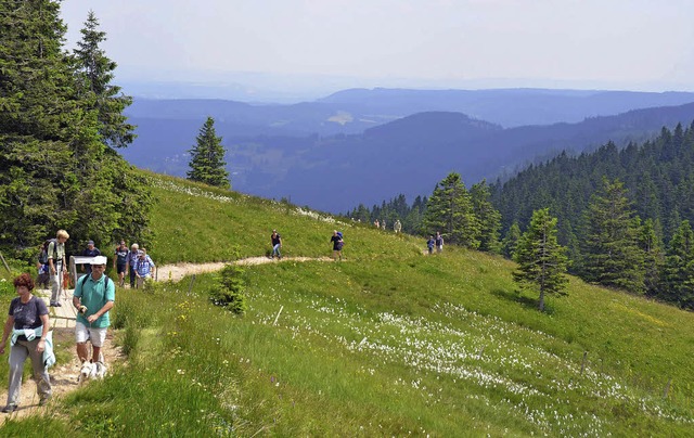 Das Hchste: Wie Naturschutz  funktion...r Feldbergranger bei einer Wanderung.   | Foto: Anita Fertl