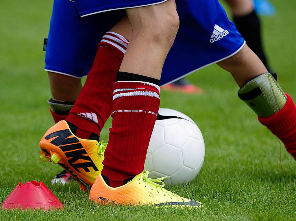 Fchslecamp im Domnestadion in Elzach