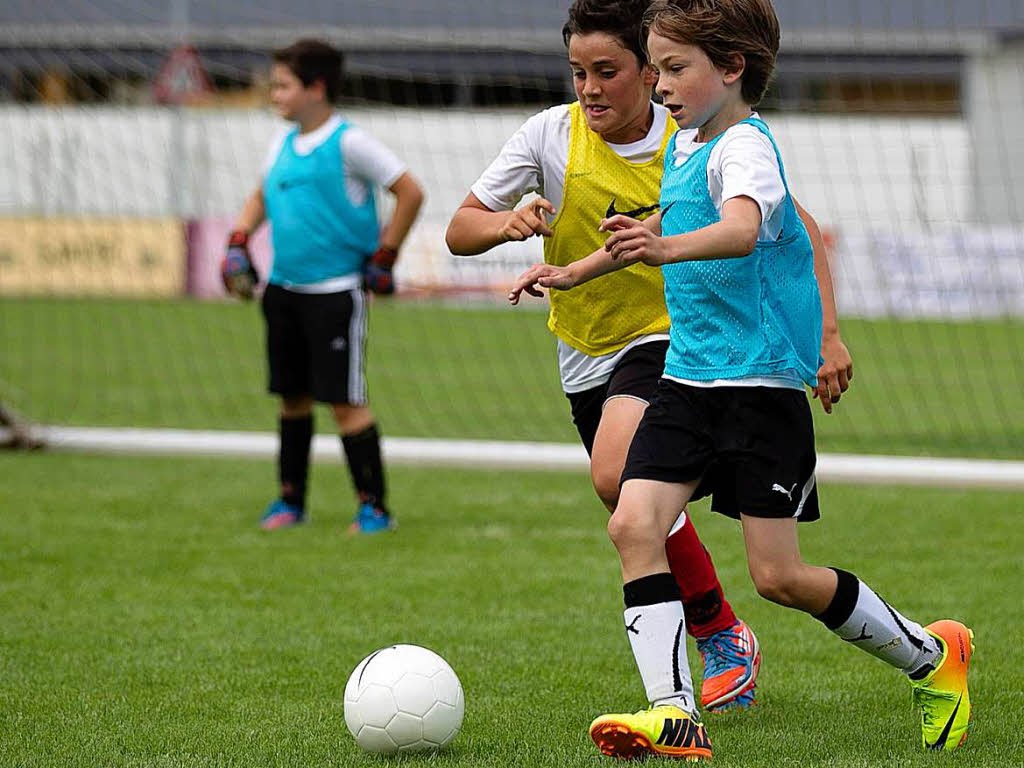 Fchslecamp im Domnestadion in Elzach