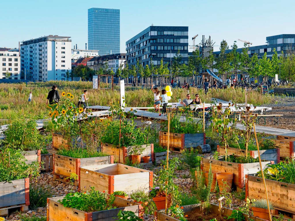 Jutta Schneider: Urbanes Grtnern in Basel im Erlenmatt