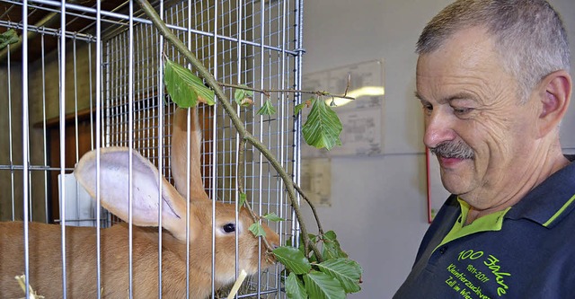 Hans-Peter Lffler, Vorsitzender des K...der Rasse &#8222;Graue Wiener&#8220;.   | Foto: Paul Berger