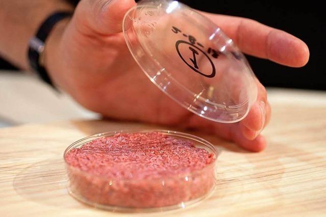 Frikadelle aus der Stammzelle: Der erste Labor-Burger ist da