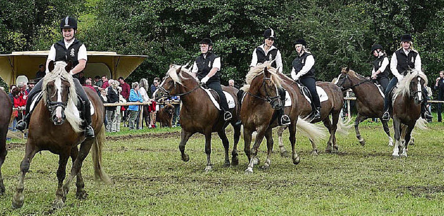 Tanzende Pferde gab&#8217;s beim Rossf...t Reit- und Fahrvorführungen geplant.   | Foto: Archivfoto: Weiss