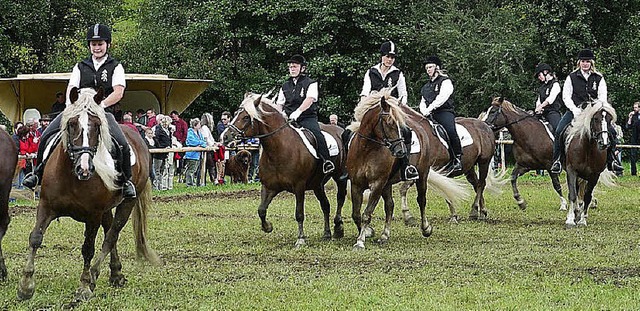 Tanzende Pferde gab&#8217;s beim Rossf...t Reit- und Fahrvorfhrungen geplant.   | Foto: Archivfoto: Weiss