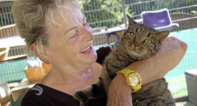 Kater &#8222;Frido&#8220; ist das lieb...inern ist der Weltkatzentag gewidmet.   | Foto: Hildegard Siebold