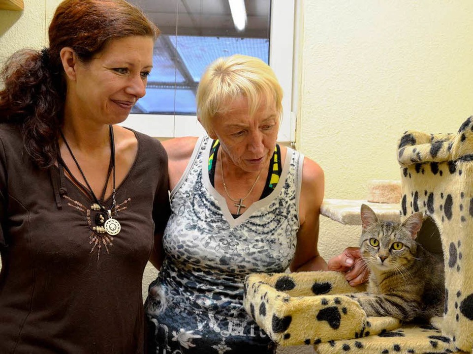 Gaby Hpfl und Hannelore Nu mit  Fundkatze Emma   | Foto: Martina Proprenter