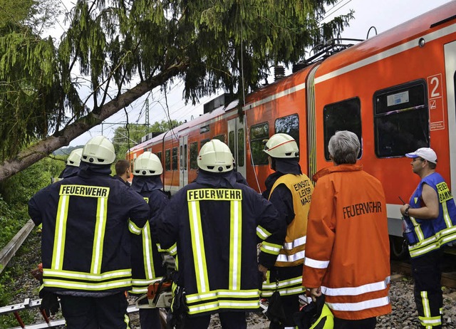 Wie diese Regionalbahn im baden-wrtte...ende Bume beschdigt und ausgebremst.  | Foto: dpa