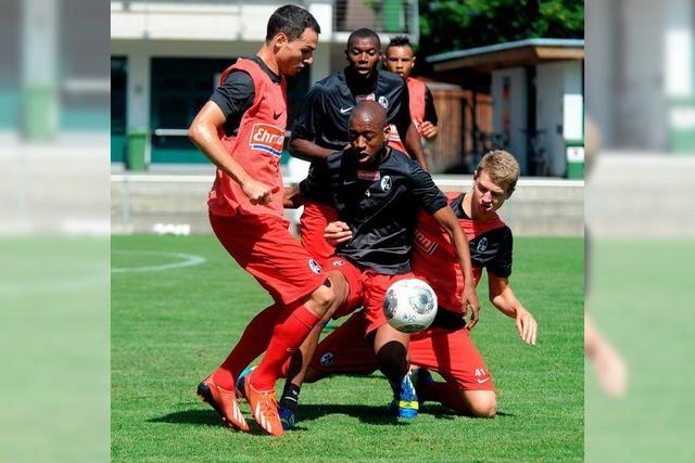 SC Freiburg: Komplizierte Findungsphase