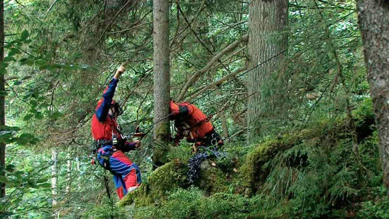 Helfer seilen sich gesichert ab.  | Foto: kamrea 24 