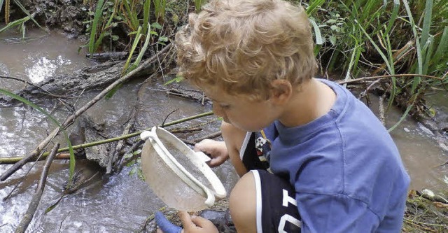 Kindergartenkinder  sammelten Wasserti...n, um sie im komobil zu untersuchen.   | Foto: claudia Mller