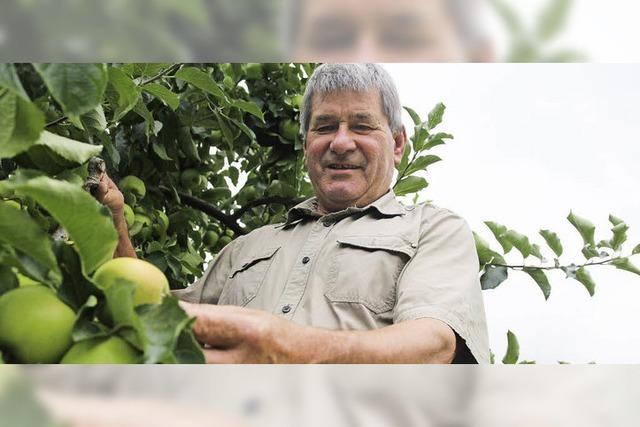 pfel gedeihen ppig, Kirschen gab es fast keine