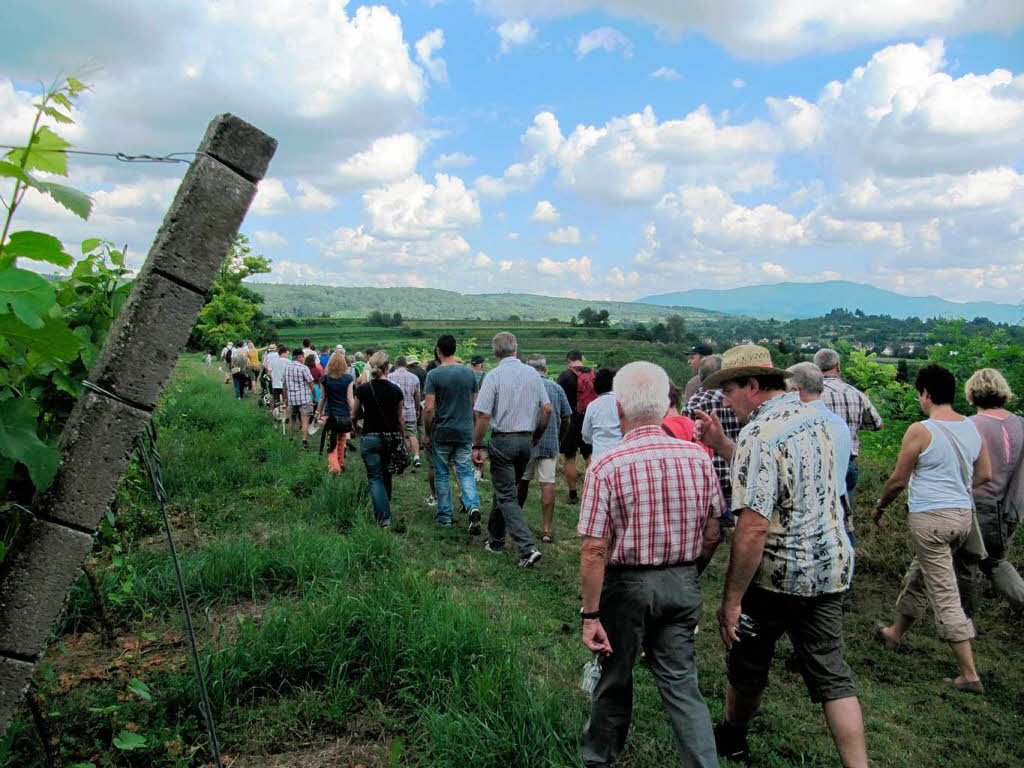 Wein und Wandern, ein Genuss!